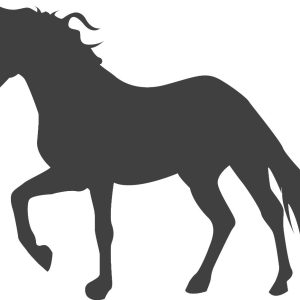 Vinilo Decorativo Caballo Silueta Medida Segun Modelo 3