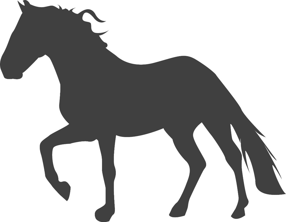 Vinilo Decorativo Caballo Silueta Medida Segun Modelo 3