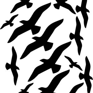 Vinilo Plancha Gaviotas Decoracion 40x30cm