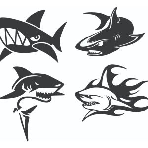 Vinilo Infantil Tiburón Decoracion 60x50cm Varios Modelos