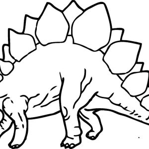 Vinilo Infantil Animal Stegasaurus Con Nombre 1m.x60cm