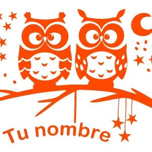 Vinilo Decorativo Infantil Buho Personalizado Con Nombre