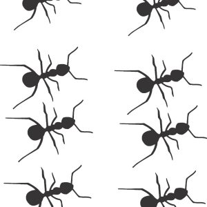 Vinilo Plancha Hormigas Decorativo Creátuvynilo