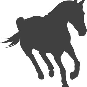 Vinilo Decorativo Caballo Silueta Medida Varia Segun Modelo